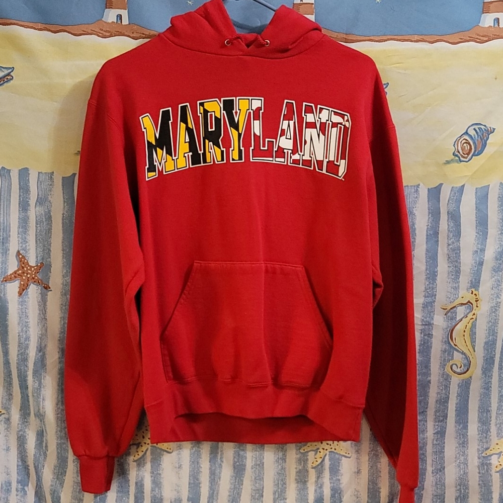 Champion Men's UMD Hoodie